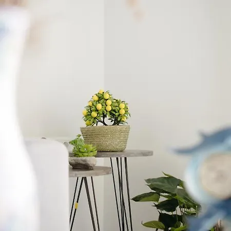 House Of Farros アパート *